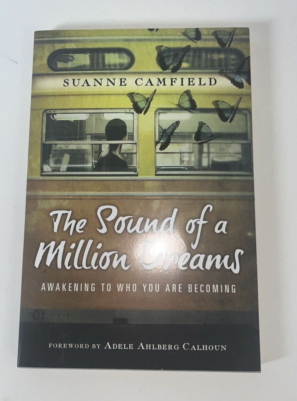 Sound of a Million Dreams : Awakening to Who You Are Becoming by Suanne Camfield